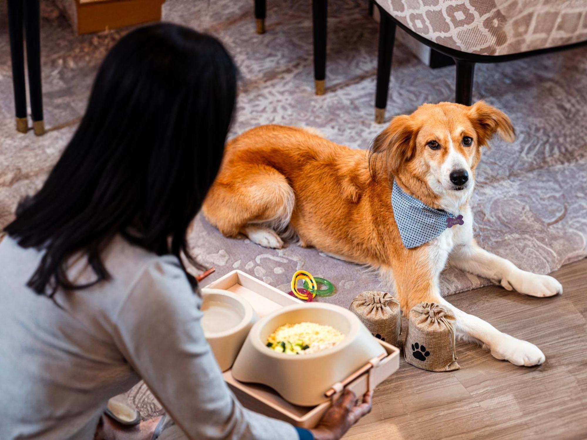Abesq Doha Hotel And Residences, An Ihg Hotel Esterno foto A dog at the Four Seasons Hotel, Hong Kong